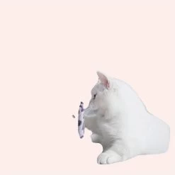 Jouet Baguette Avec Chenille En Flanelle Pour Chats