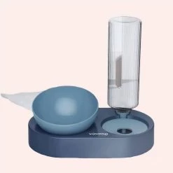 Bol Chat Incliné Avec Support Surélevé Et Distributeur D’eau