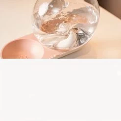 Bol D’eau Automatique En Forme D’escargot -Couchages pour chats Magasin bol d eau automatique en forme d escargot 3