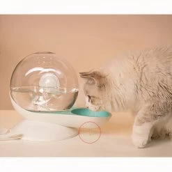 Bol D’eau Automatique En Forme D’escargot -Couchages pour chats Magasin bol d eau automatique en forme d escargot 4
