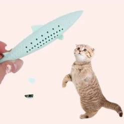 Brosse à Dent En Silicone Pour Chat