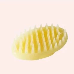 Brosse De Massage Et De Nettoyage Pour Chat