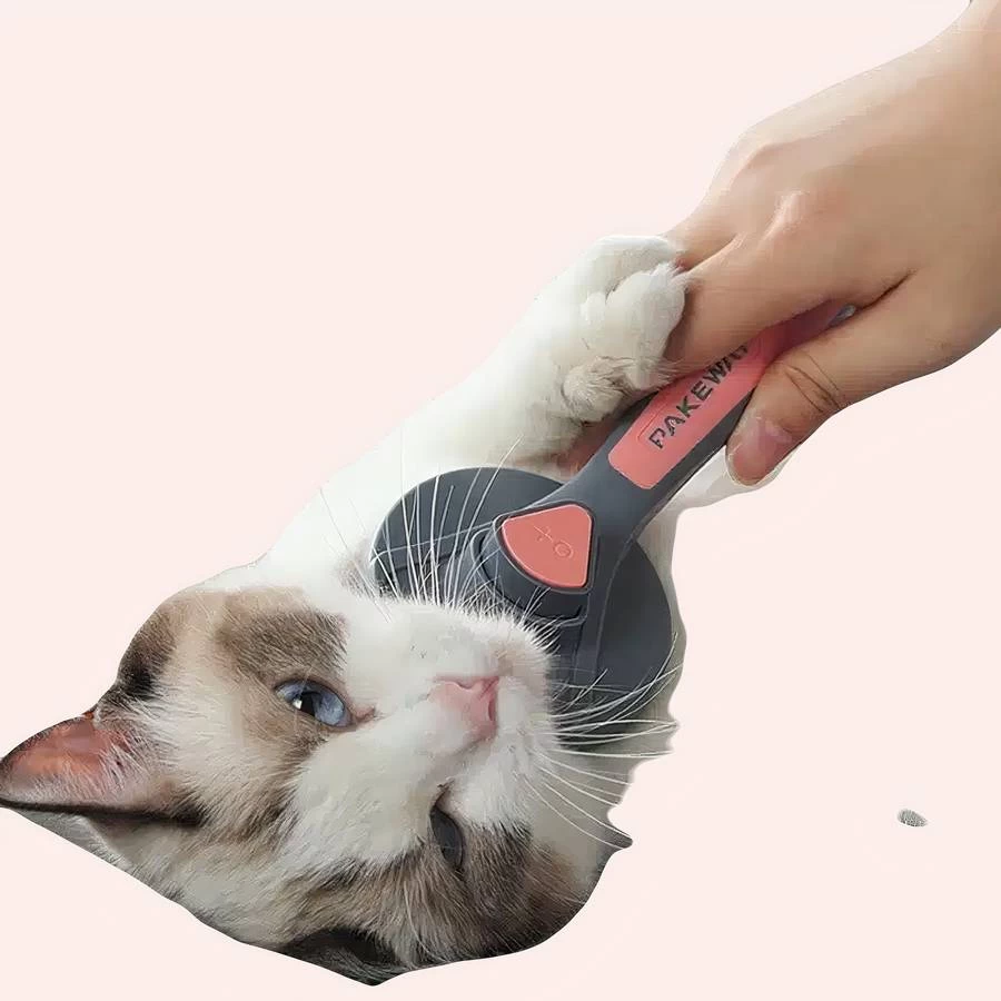 Brosse De Peigne à Aiguille Spécial Pour Chat 1 Brosse De Peigne à Aiguille Spécial Pour Chat