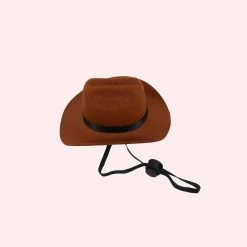 Chapeau De Cowboy Pour Chats