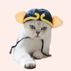 Chapeau Tricoté En Laine Pour Chat