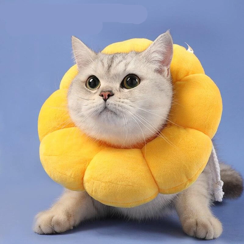 Collerette épaisse En Forme De Fleur Jaune Pour Chat 2 Collerette épaisse En Forme De Fleur Jaune Pour Chat – Image 2