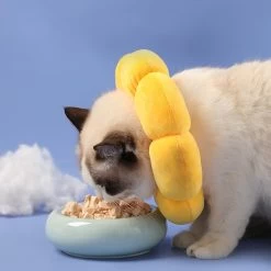 Collerette épaisse En Forme De Fleur Jaune Pour Chat 12 Collerette épaisse En Forme De Fleur Jaune Pour Chat -Couchages pour chats Magasin collerette epaisse en forme de fleur jaune pour chat 5