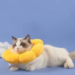 Collerette épaisse En Forme De Fleur Jaune Pour Chat 15 Collerette épaisse En Forme De Fleur Jaune Pour Chat -Couchages pour chats Magasin collerette epaisse en forme de fleur jaune pour chat 8