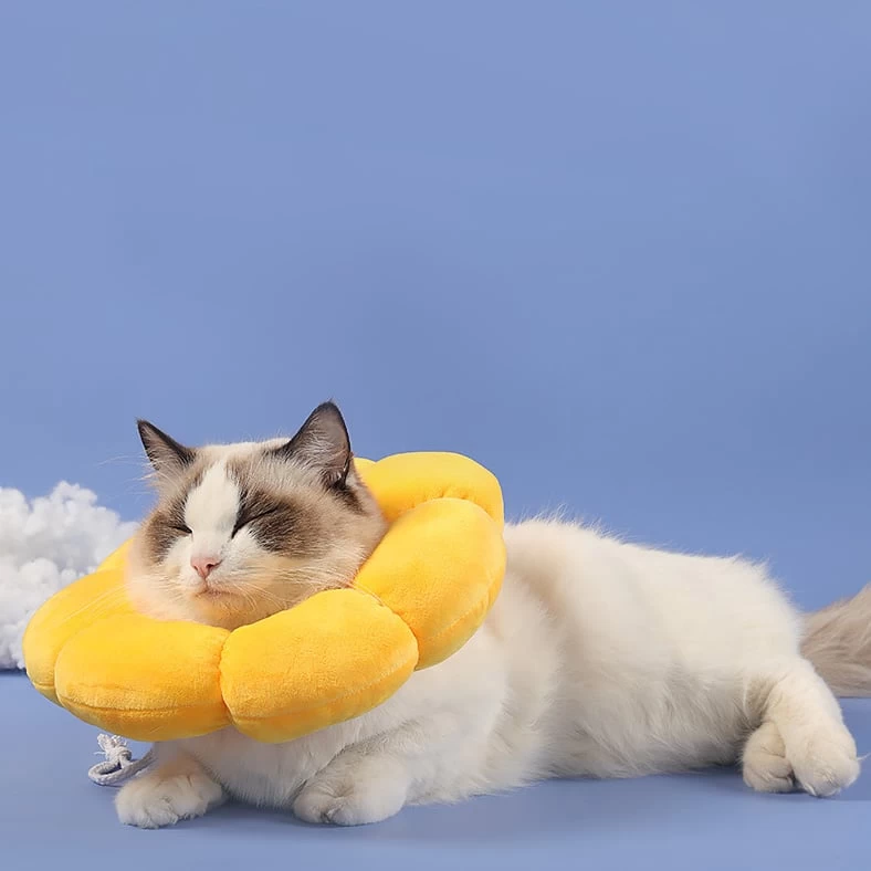 Collerette épaisse En Forme De Fleur Jaune Pour Chat 8 Collerette épaisse En Forme De Fleur Jaune Pour Chat – Image 8