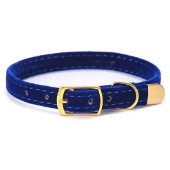 Collier De Sécurité Couleur Unie Pour Chat -Couchages pour chats Magasin collier de securite couleur unie pour chat 4