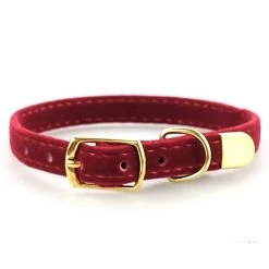 Collier De Sécurité Couleur Unie Pour Chat -Couchages pour chats Magasin collier de securite couleur unie pour chat 5