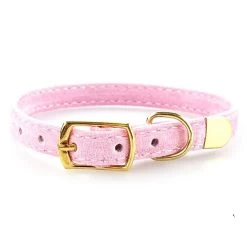 Collier De Sécurité Couleur Unie Pour Chat -Couchages pour chats Magasin collier de securite couleur unie pour chat 6