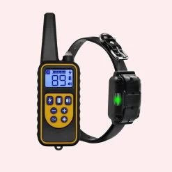 Collier électrique D’entraînement Pour Chats