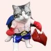 Costumes De Boxeur Pour Chat
