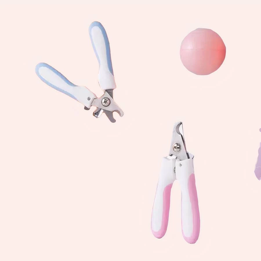 Coupe Griffe Deux Tons Pour Chat 1 Coupe Griffe Deux Tons Pour Chat