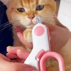 Coupe-ongles Professionnel Pour Chat Et Chaton 10 Coupe-ongles Professionnel Pour Chat Et Chaton -Couchages pour chats Magasin coupe ongles professionnel pour chat et chaton 4