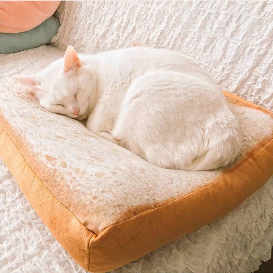 Coussin Chat En Forme De Pain De Mie 2 Coussin Chat En Forme De Pain De Mie – Image 2
