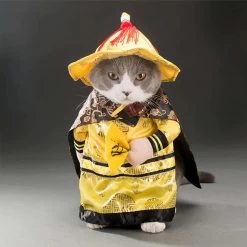 Déguisement Cosplay Halloween Pour Chat 8 Déguisement Cosplay Halloween Pour Chat -Couchages pour chats Magasin deguisement cosplay halloween pour chat