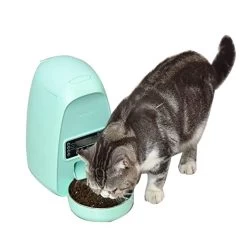 Distributeur De Croquette Avec Bol Pour Chat