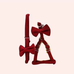 Ensemble Harnais Et Laisse Avec Noeud Papillon Pour Chat