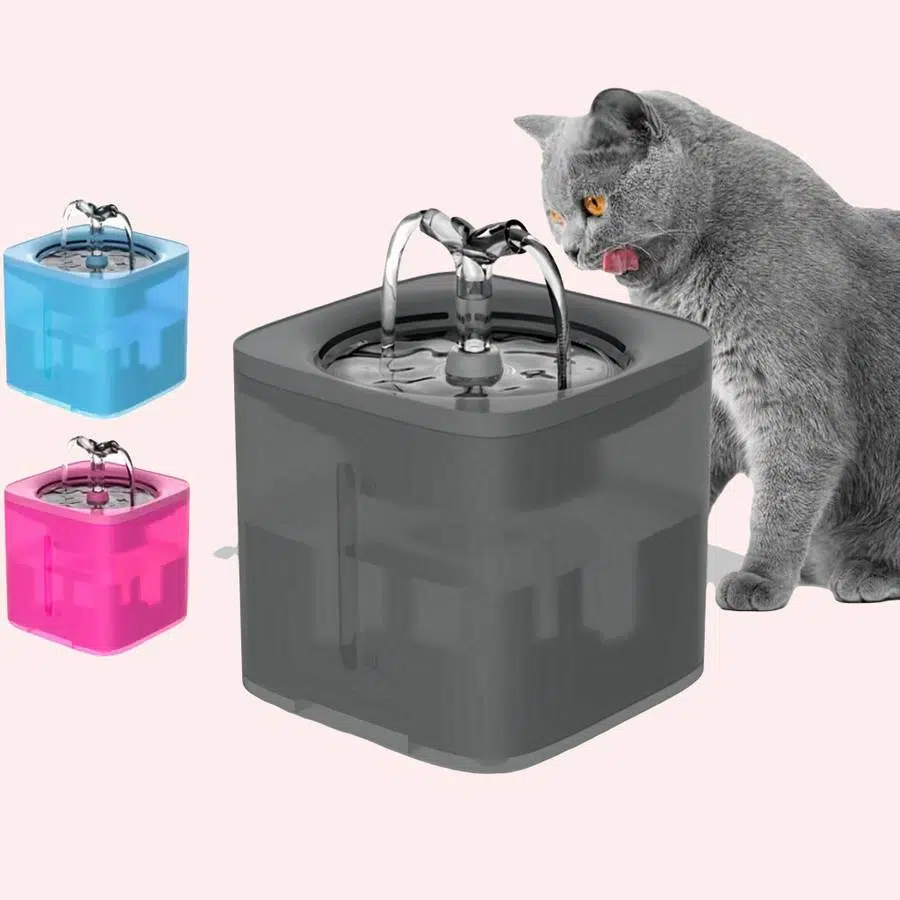 Fontaine à Eau Avec Filtre Pour Chat 1 Fontaine à Eau Avec Filtre Pour Chat