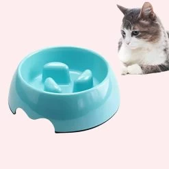 Gamelle Anti Glouton Couleur Unie Pour Chat
