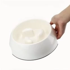 Gamelle Anti Glouton Couleur Unie Pour Chat 6 Gamelle Anti Glouton Couleur Unie Pour Chat -Couchages pour chats Magasin gamelle anti glouton couleur unie pour chat 3