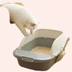 Grand Bac à Litière En Plastique Pour Chat