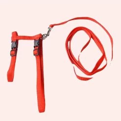 Harnais En Nylon Ajustable Pour Chat