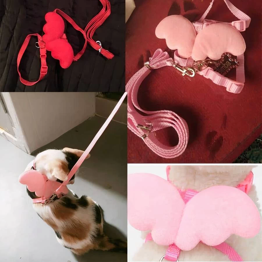 Harnais Et Laisse à Motif Aile D’anges Pour Chat 2 Harnais Et Laisse à Motif Aile D’anges Pour Chat – Image 2