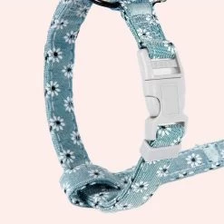 Harnais Fleuri Avec Laisse Réglable Pour Chat