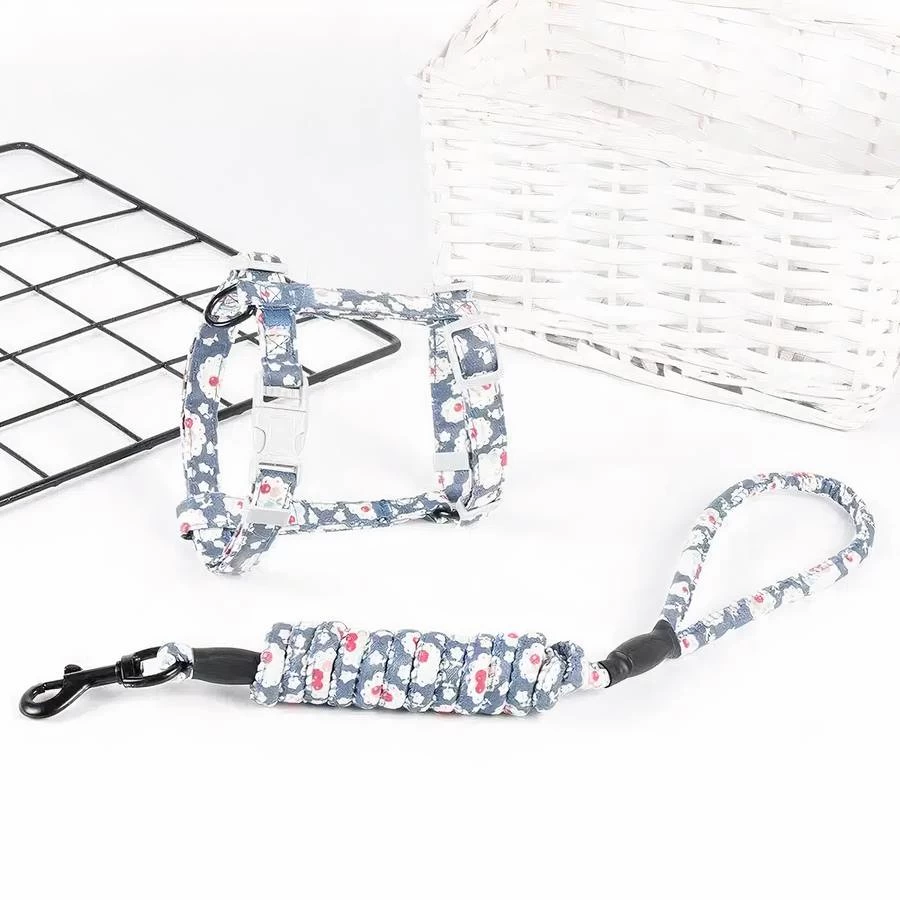 Harnais Fleuri Avec Laisse Réglable Pour Chat 4 Harnais Fleuri Avec Laisse Réglable Pour Chat – Image 4