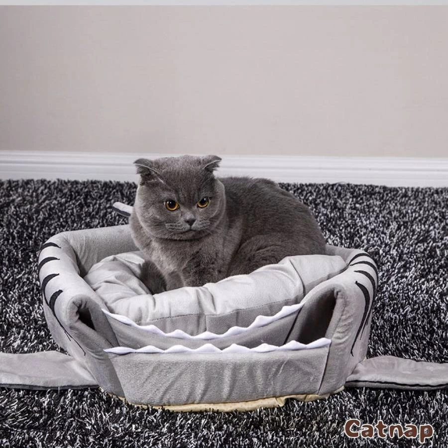 Maison Pour Chat En Forme De Requin 4 Maison Pour Chat En Forme De Requin – Image 4