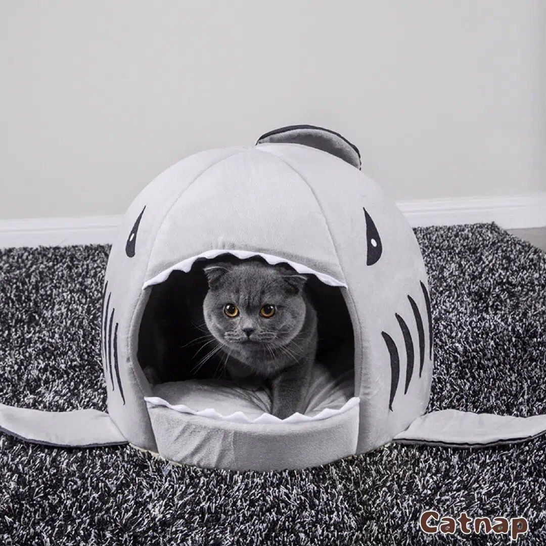 Maison Pour Chat En Forme De Requin 1 Maison Pour Chat En Forme De Requin