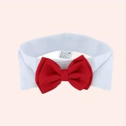 Nœud Papillon Avec Col Blanc Pour Chat