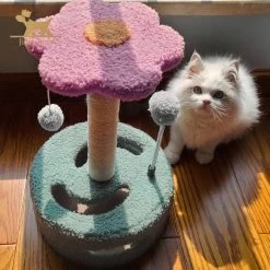 Tour D’arbre à Chat Avec Grattoir -Couchages pour chats Magasin tour d arbre a chat avec grattoir 2