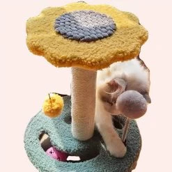 Tour D’arbre à Chat Avec Grattoir