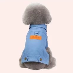 Veste En Jean D’hiver Pour Chat