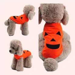 Vêtement De Carnaval Pour Chat