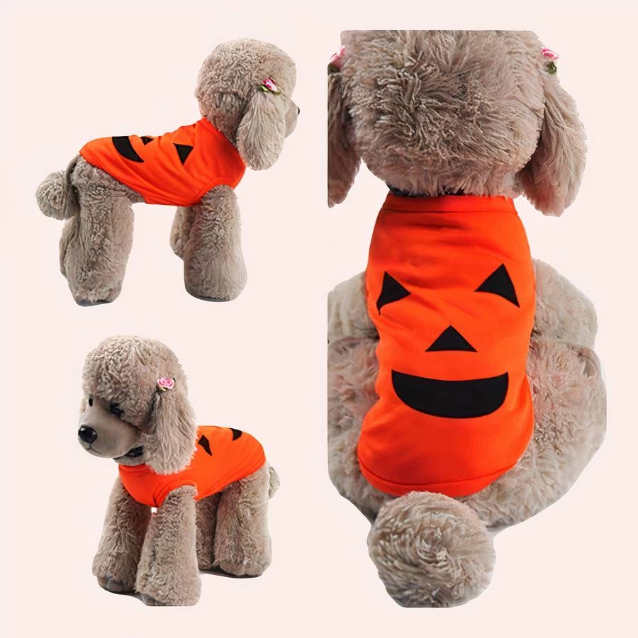 Vêtement De Carnaval Pour Chat 1 Vêtement De Carnaval Pour Chat